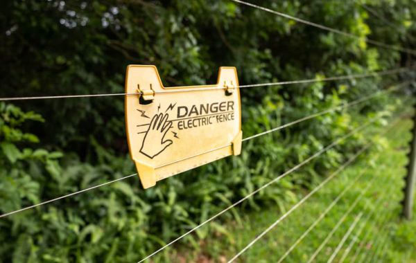 fence fence